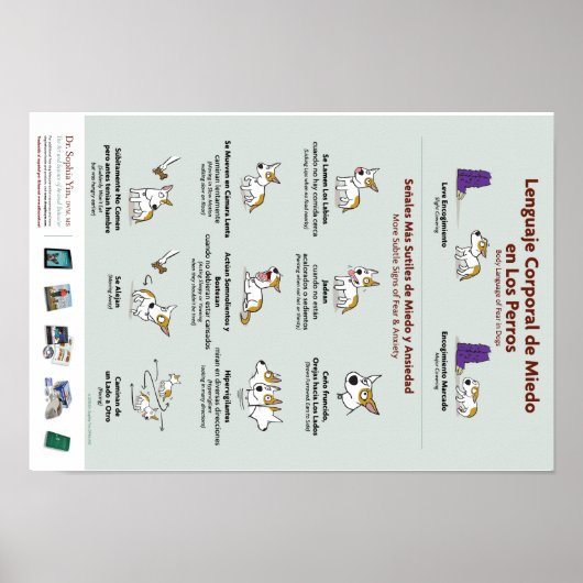 Lichaamstaal voor angst in het Poster Honden (Spaa (Voorkant)