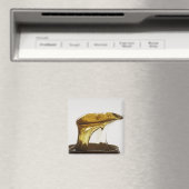 Lichaamswas Magneet (Insitu (Vaatwasser))