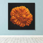 Lichen Compositie - Canvas Art Print (Insitu (Houten vloer))