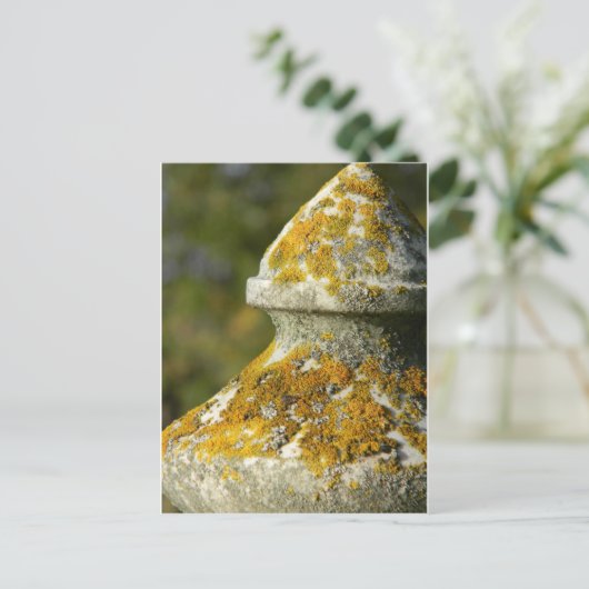 Lichen Covered Cemetery Obelisk Briefkaart (Staand voorkant)