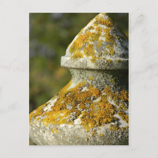 Lichen Covered Cemetery Obelisk Briefkaart (Voorkant)