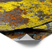 Lichen Covered Rocks Poster (Hoek)