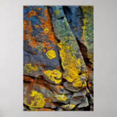 Lichen Covered Rocks Poster (Voorkant)