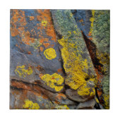 Lichen Covered Rocks Tegeltje (Voorkant)