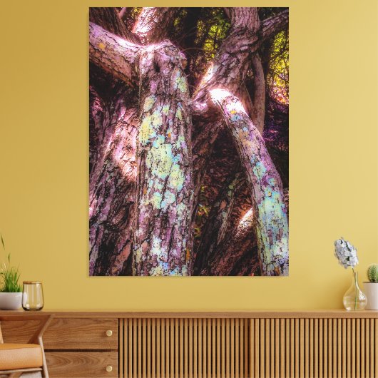 Lichen in Dapped Sunlight Canvas Afdruk (Insitu (Woonkamer))