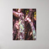 Lichen in Dapped Sunlight Canvas Afdruk (Voorkant)