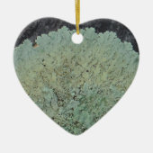 Lichen Mossy Circle Keramisch Ornament (Voorkant)