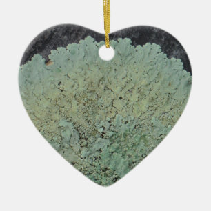 Lichen Mossy Circle Keramisch Ornament