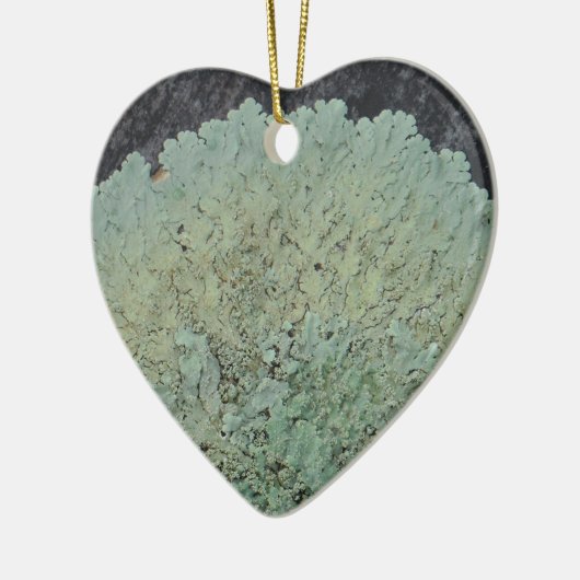 Lichen Mossy Circle Keramisch Ornament (Links)