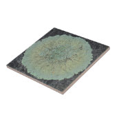 Lichen Mossy Circle Tegeltje (Zijkant)
