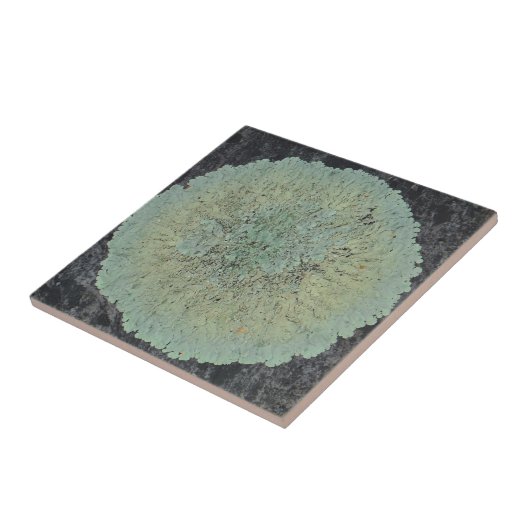 Lichen Mossy Circle Tegeltje (Zijkant)