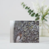 Lichen op Bark Briefkaart (Staand voorkant)