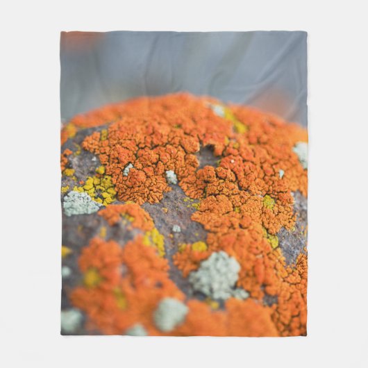 Lichen oranje moss stone grijs fleece deken (Voorkant)