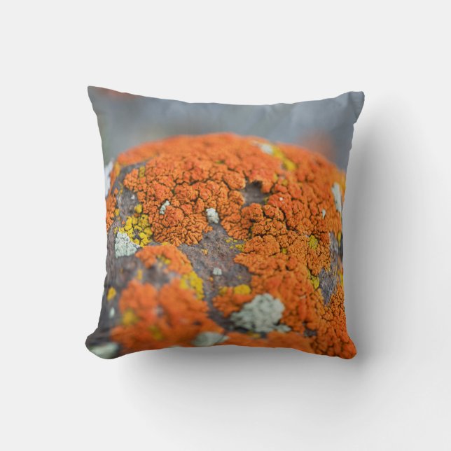 Lichen oranje moss stone grijs kussen (Voorkant)