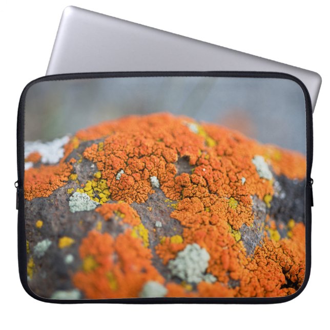 Lichen oranje moss stone grijs laptop sleeve (Voorkant)