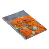 Lichen oranje moss stone grijs notitieboek (Rechterzijde)