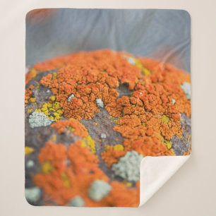 Lichen oranje moss stone grijs sherpa deken