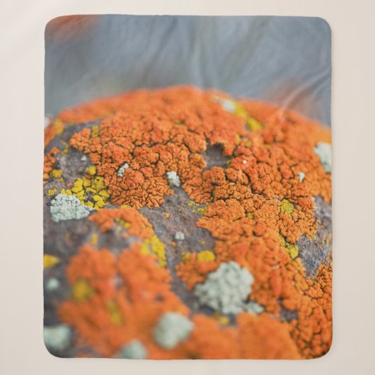 Lichen oranje moss stone grijs sherpa deken (Voorkant)