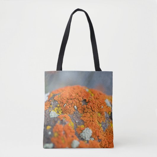 Lichen oranje moss stone grijs tote bag (Voorkant)