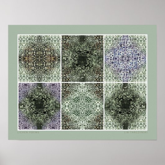 Lichen Poems Poster (Voorkant)
