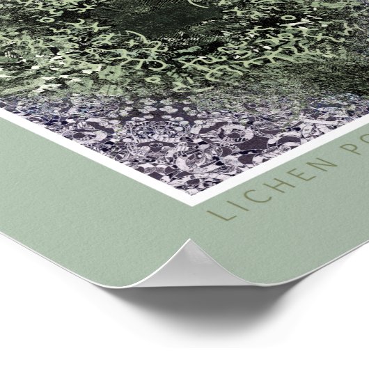 Lichen Poems Poster (Hoek)