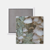 Lichen & Shelf Fungus Magnet (Voorkant / Achterkant)