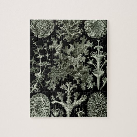 Lichen van Ernst Haeckel, Planten van de  Natuur Legpuzzel (Verticaal)
