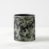 Lichen van Ernst Haeckel, Planten van de  Natuur Mok (Midden)