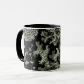 Lichen van Ernst Haeckel, Planten van de  Natuur Mok (Voorkant links)