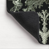 Lichen van Ernst Haeckel, Planten van de Natuur Muismat (Hoek)