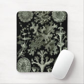 Lichen van Ernst Haeckel, Planten van de Natuur Muismat (Met muis)