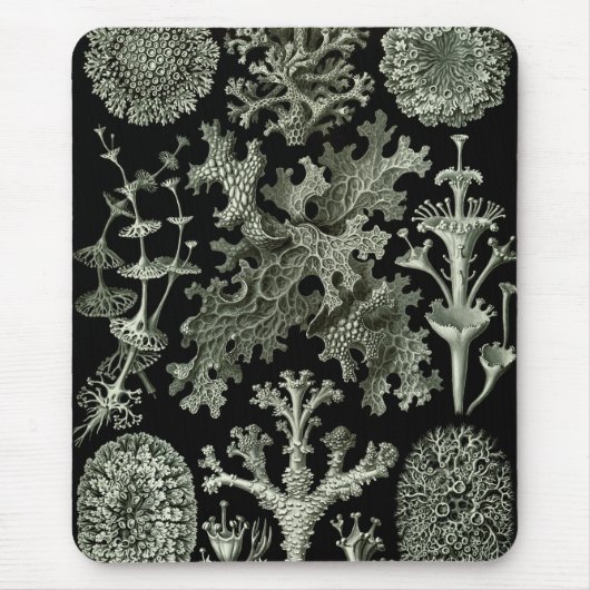 Lichen van Ernst Haeckel, Planten van de Natuur Muismat (Voorkant)
