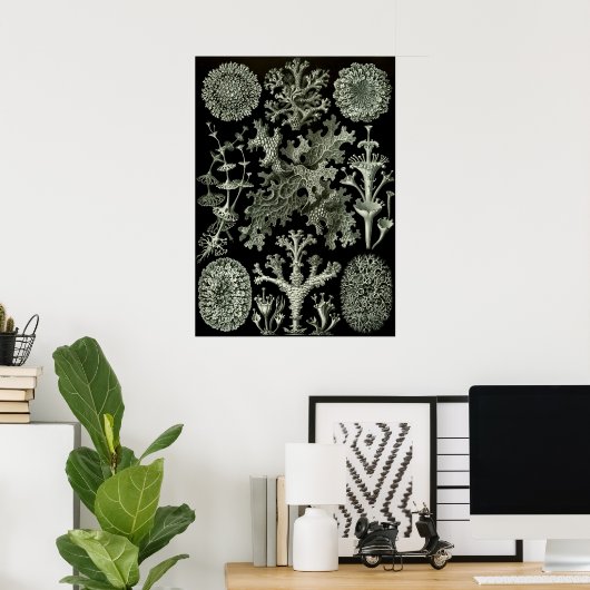 Lichen van Ernst Haeckel, Planten van de  Natuur Poster (Thuiskantoor)