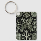 Lichen van Ernst Haeckel, Planten van de  Natuur Sleutelhanger (Voorkant)