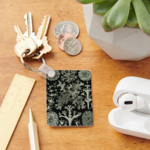 Lichen van Ernst Haeckel, Planten van de  Natuur Sleutelhanger