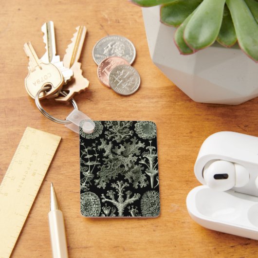 Lichen van Ernst Haeckel, Planten van de  Natuur Sleutelhanger (Bureau)