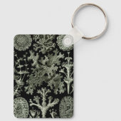 Lichen van Ernst Haeckel, Planten van de  Natuur Sleutelhanger (Achterkant)