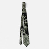 Lichen van Ernst Haeckel, Planten van de Natuur Stropdas (Achterkant)