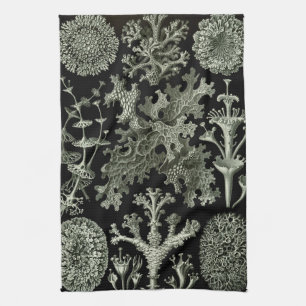 Lichen van Ernst Haeckel, Planten van de  Natuur Theedoek