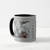 Lichens-Mok Mok (Voorkant links)