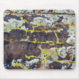 Lichens On Rock No. 3 Muismat