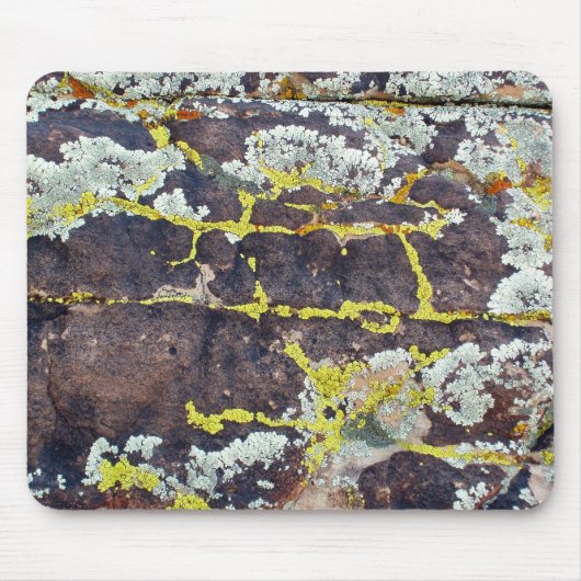 Lichens On Rock No. 3 Muismat (Voorkant)