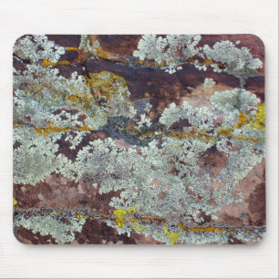 Lichens op Rock #4 Muismat
