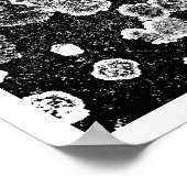 Lichens Poster (Hoek)