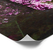 Licht aan het eind van de Natuur van de weg Poster (Hoek)