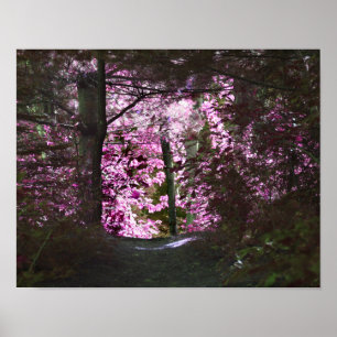 Licht aan het eind van de Natuur van de weg Poster