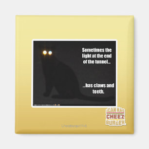 Licht aan het eind van de tunnel magneet