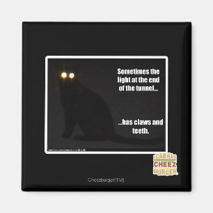 Licht aan het eind van de tunnel magneet