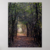 Licht aan het eind van het Poster van de Weg (Voorkant)