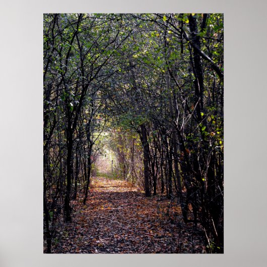 Licht aan het eind van het Poster van de Weg (Voorkant)